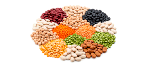 პარკოსნები