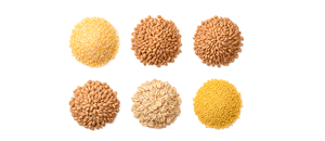 ბურღულეული