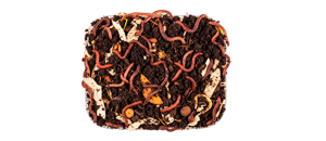 ჭიაყელა